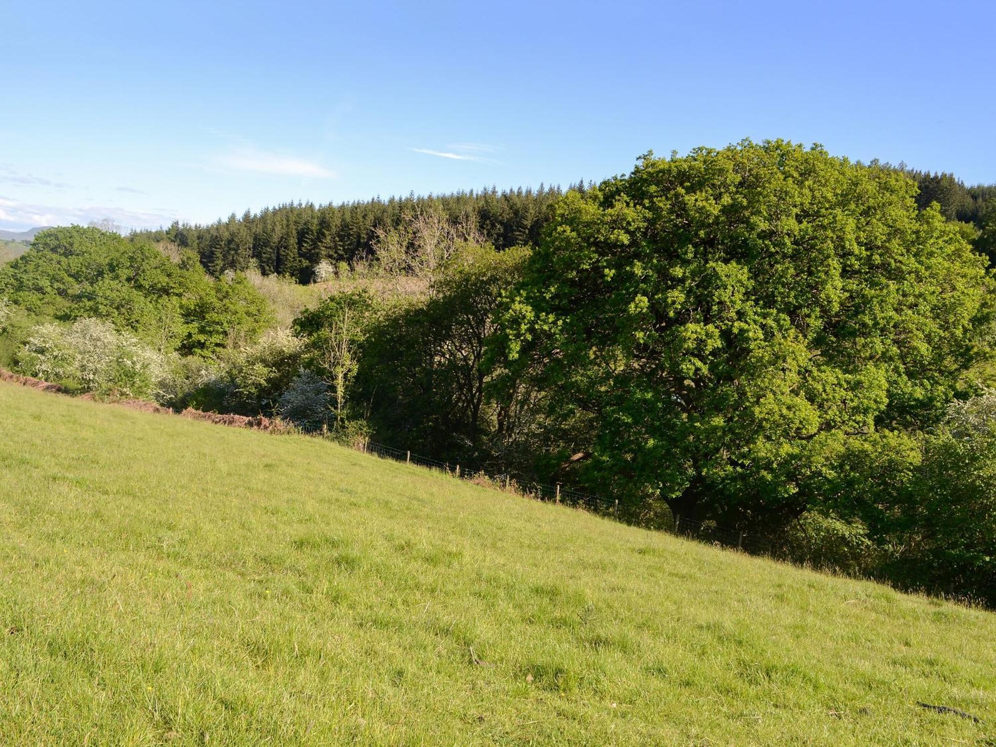 Llanstephan The Old Cider Mill别墅 外观 照片